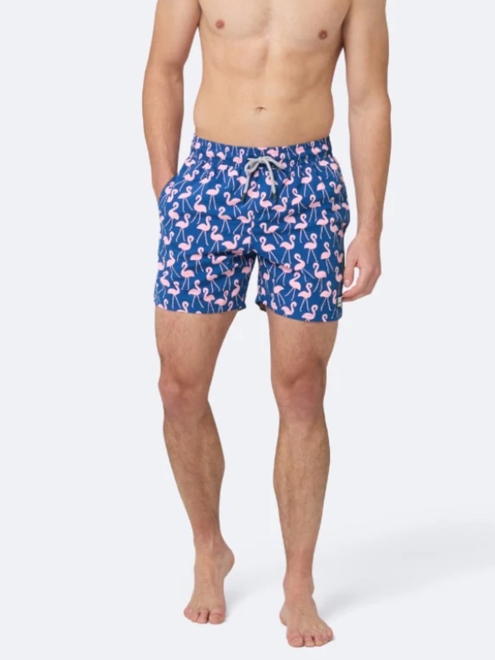 Tom & Teddy Mens CLASSIC SWIM SHORTS Rose Flamingos Medium